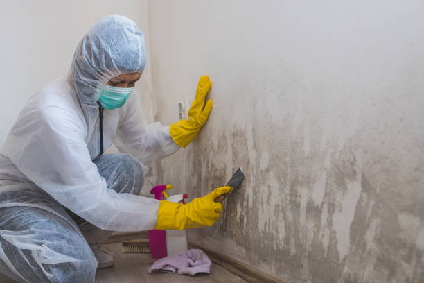Water Damage Restoration in West Siloam Springs, OK