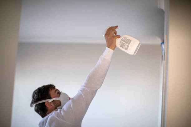 Best Professional Mold Removal  in West Siloam Springs, OK