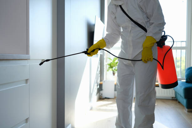 Home Mold Removal in West Siloam Springs, OK